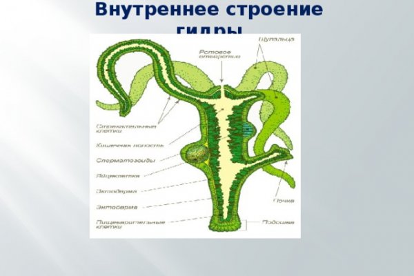 Знают ли власти про маркетплейс кракен