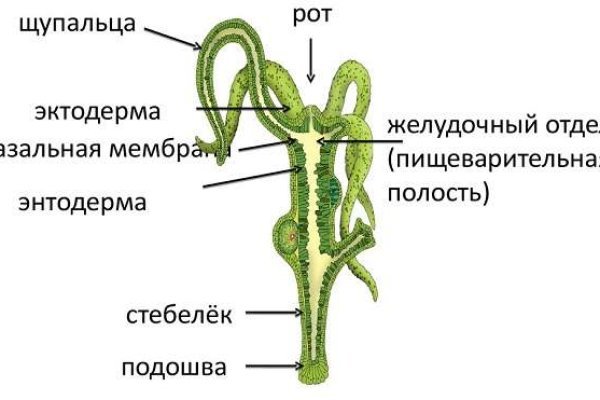 Ссылки на сайты даркнета